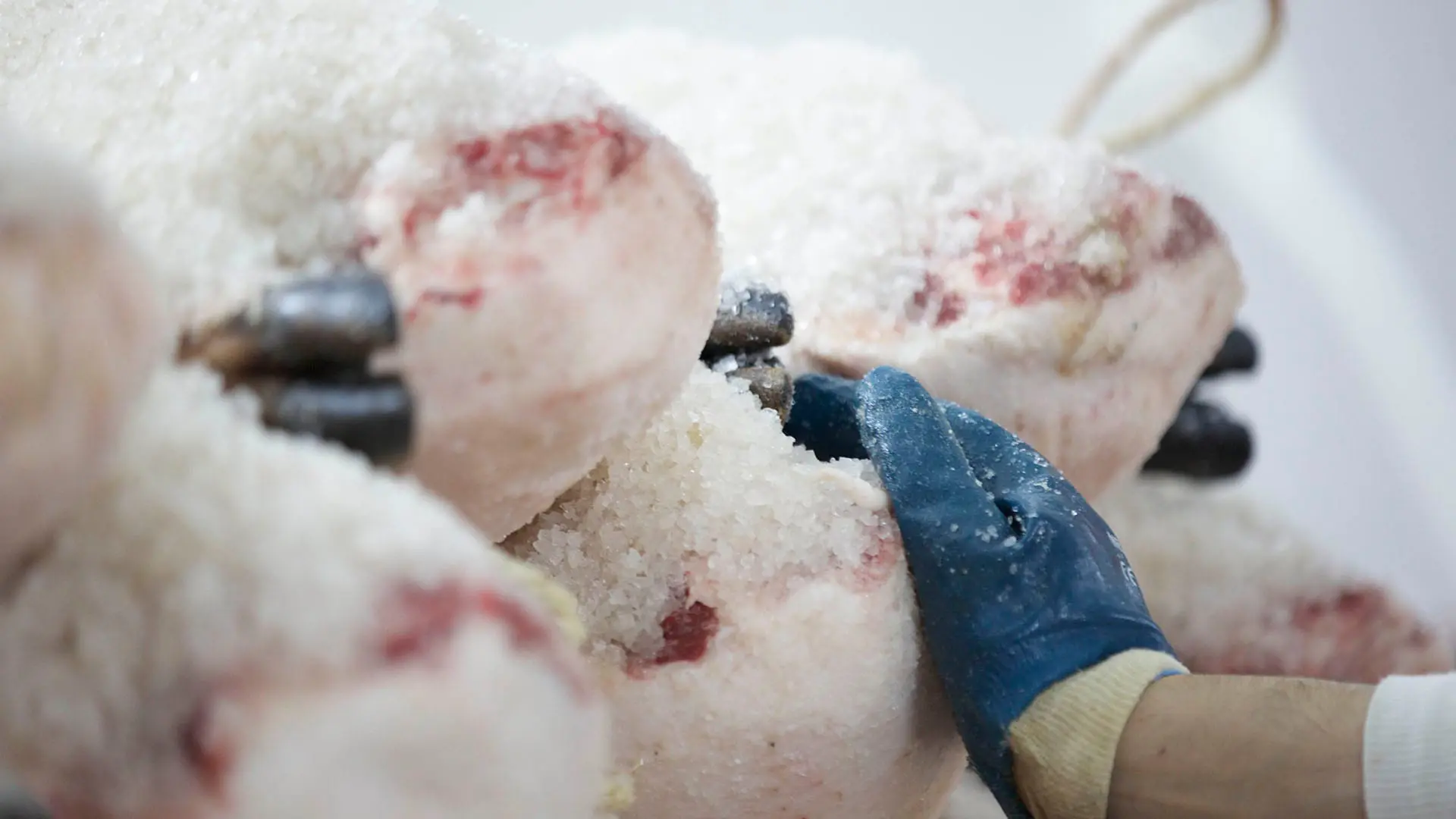 Proceso de curación del jamón con sal